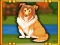 Hra Bernese Mountain Dog Escape online