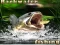 Hra Backwater Fishing online