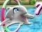 Hra My Dolphin Show 7 online