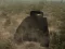 Hra Tank Battle online