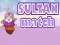 Hra Sultan Match online