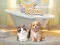 Hra Pet Salon online