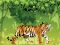 Hra Angry Tiger Coloring online