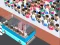 Hra Over Load Passengers online