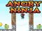 Hra Angry Ninja online