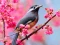 Hra Lovable Birds online