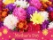 Hra 2019 Mother's Day Puzzle online