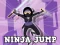 Hra Ninja Jump online