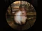 Hra Classical Rabbit Sniper Hunting 2019 online