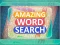 Hra Amazing Word Search online