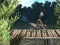 Hra Bike Trial Xtreme Forest online