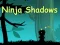 Hra Ninja Shadows online