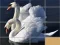 Hra Animals Slide Puzzle online
