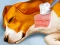 Hra Dog Hospital online