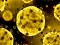 Hra Coronavirus Slide online