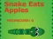 Hra Snake Eats Apples online