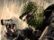 Hra Terrorist Shootout online