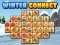 Hra Winter connect online