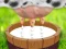 Hra Milk The Cow online