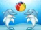 Hra Dolphin Show online