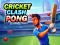 Hra Cricket Clash Pong online