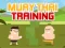Hra Muay Thai Training online