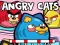 Hra Angry Cats online
