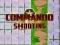 Hra Commando Shooting online