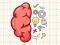 Hra Brain Tricky Puzzles online