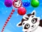 Hra Raccoon Rescue online
