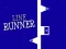 Hra Line Runner online