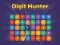 Hra Digit Hunter online