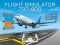 Hra Flight Simulator 737-800 online