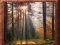 Hra Image Block Puzzle online