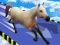 Hra Animal Impossible Track Rush online