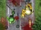 Hra Crush The Zombies online