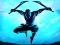 Hra Shadow Ninja Revenge online