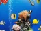 Hra Sea Underwater Difference online