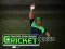 Hra Cricket Fielder Challenge online