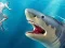 Hra Shark Hunting online