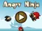Hra Angry Ninja online