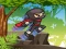 Hra Ninja Jungle Adventures online