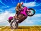 Hra Crazy Wheelie Motorider online