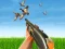 Hra Bird Hunting online