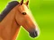Hra Horse Run 3D online