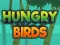Hra Hungry Birds online