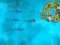 Hra Survive the Sharks online