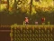 Hra The Lost Forest online