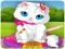 Hra Vet Cat Clinic online