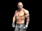 Hra Fight Arena Online online